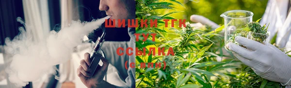 spice Богданович