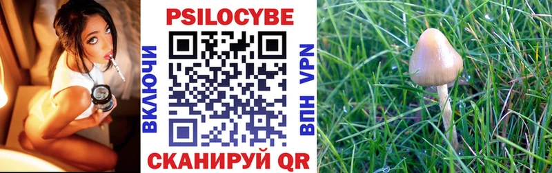 Купить  Сатка  Псилоцибиновые грибы Psilocybine cubensis 